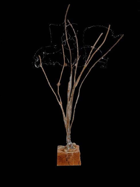 Installazione 16 Legno, filo di ferro e plastica su base legno  40x40x80