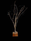 Installazione 16 Legno, filo di ferro e plastica su base legno  40x40x80