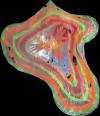 Installazione 18 Tubo di rame, plastica e colori acrilici 130x130x50